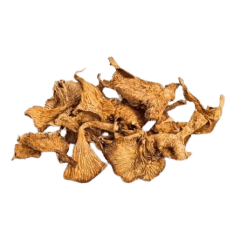 Dried Mushroom - Planet Mushroom - Chanterelle Dried