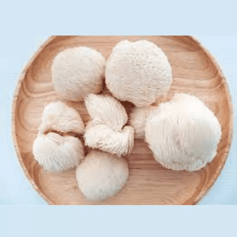 Planet Mushroom - Dried Lions ManeDried MushroomPlanet Mushroom - Dried Lion's Mane | Boost Focus & Memory