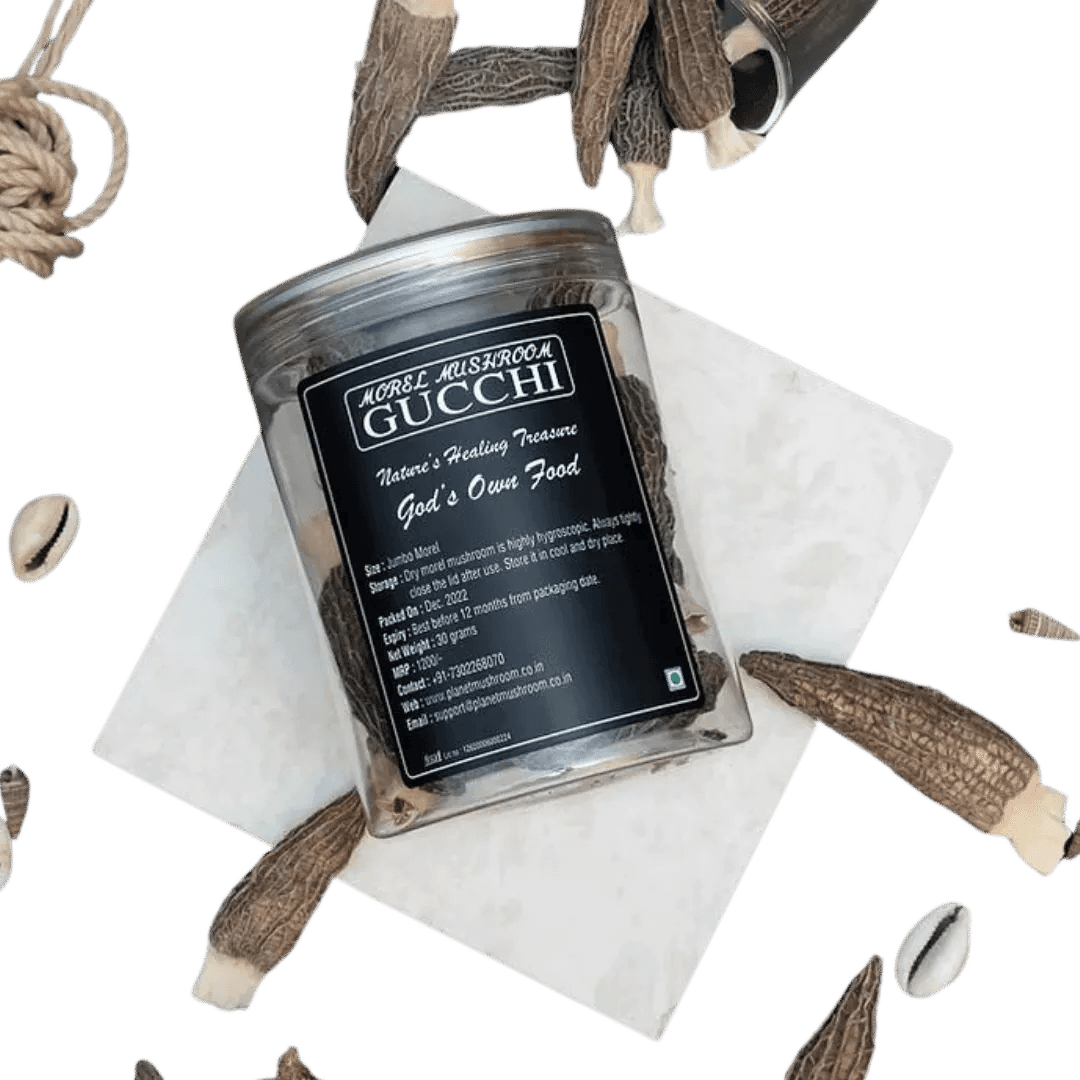 Planet Mushroom - Gucchi Mushroom (Jumbo Size Box of 30 gms)Dried MushroomGucchi Mushroom - Buy Morel Mushrooms | 30gm Box