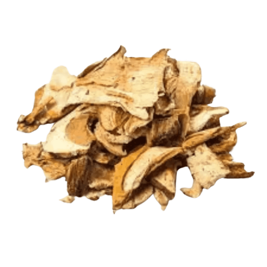 Dried Mushroom - Planet Mushroom - Porcini Dried