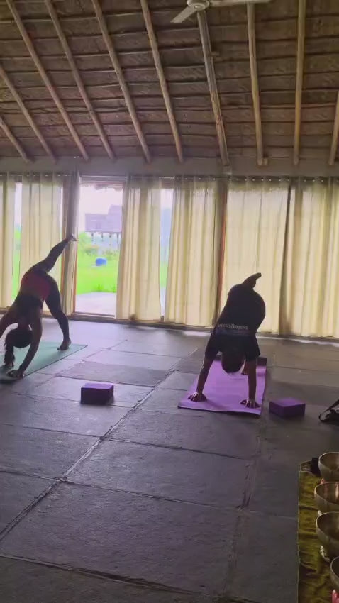 Premium Trauma-Healing Retreat Goa- Deep Release, Renewal & Inner Alignment