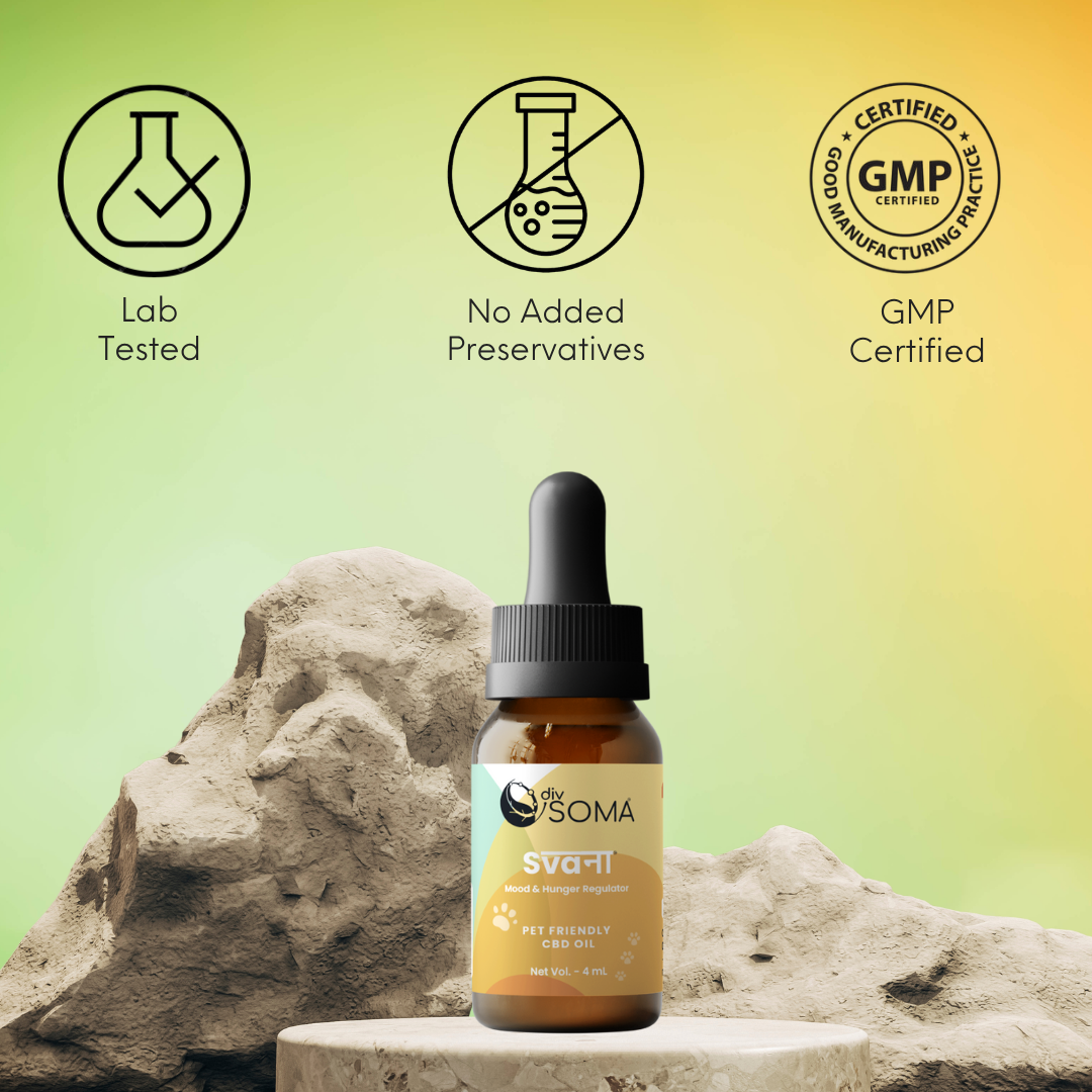 CBD Store India