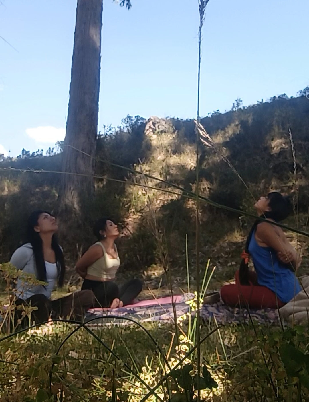 Saira Shamanic Chanting & Healing Practices