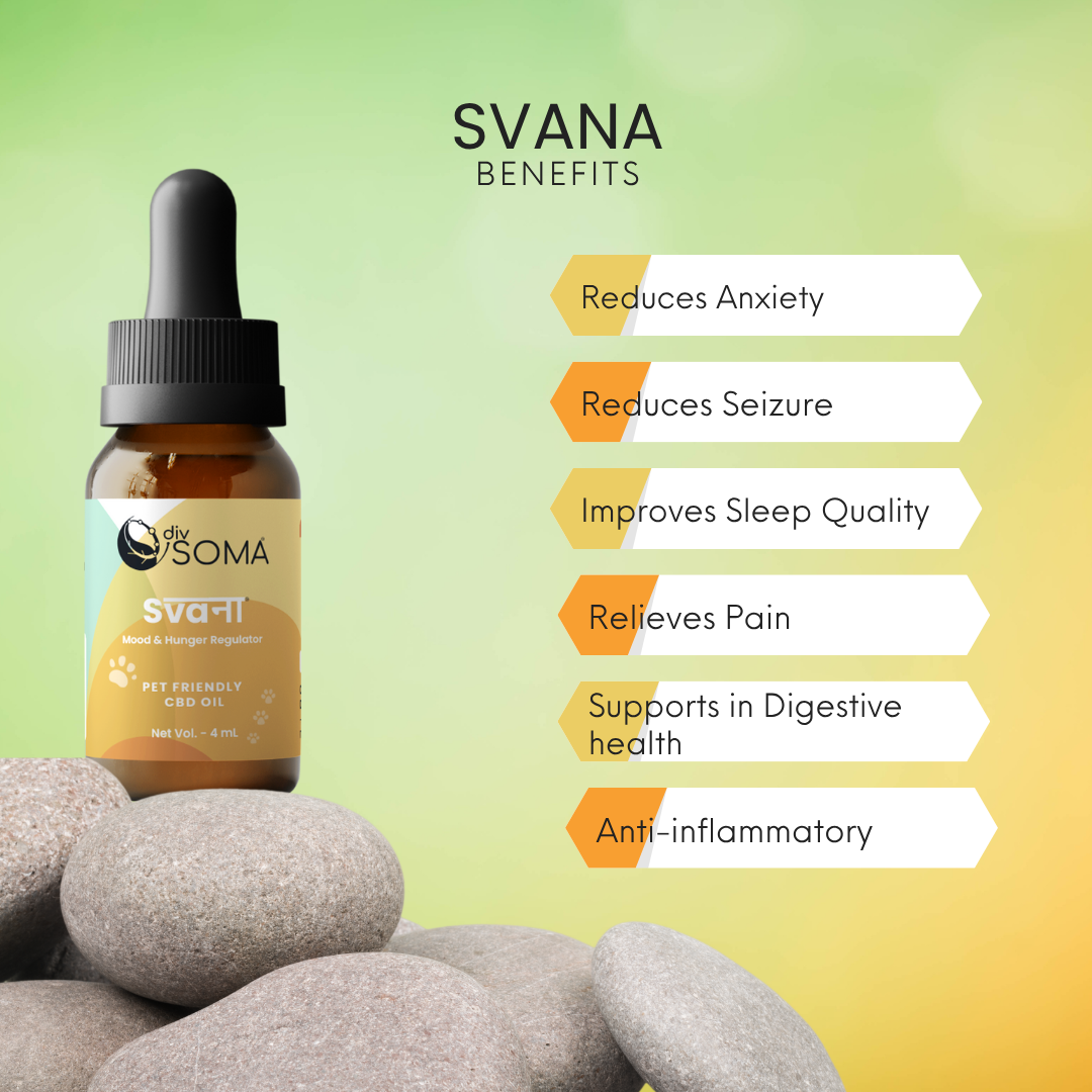 DivSoma Svana – Premium Pet-Friendly CBD Oil.