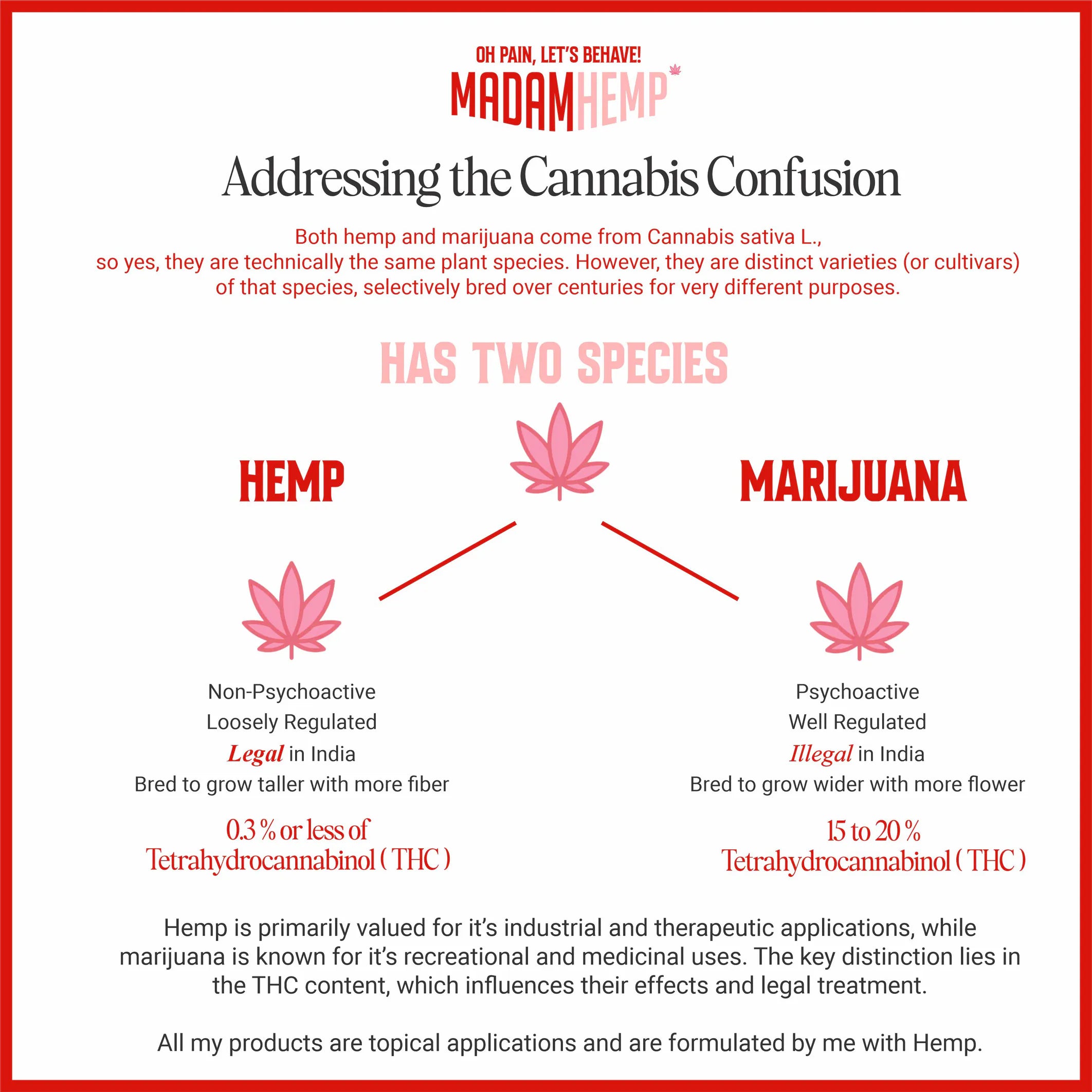 Madam Hemp- Hemp Massage Oil