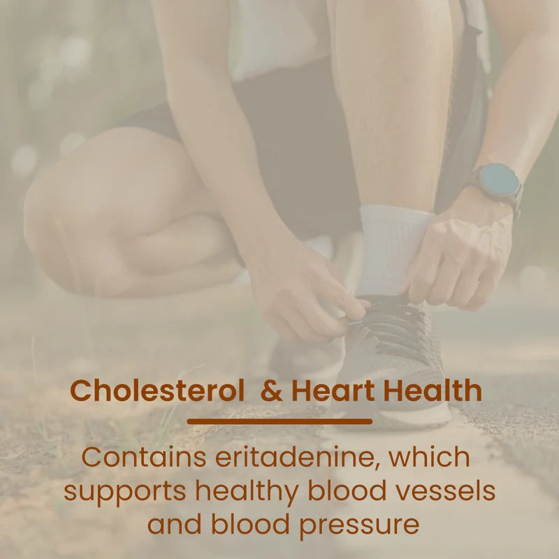 Rooted Actives Shiitake Mushroom Powder - Pure Fruit-Body Extract for Coffee, Tea & Smoothies