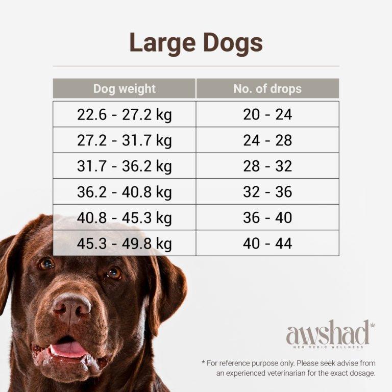 Awshad - CBD Oil For Dogs 300MGPet MedicineAwshad CBD Oil For Dogs | Best CBD Oil For Pets | CBD Store India