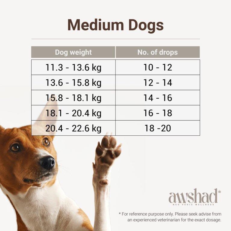 Awshad - CBD Oil For Dogs 300MGPet MedicineAwshad CBD Oil For Dogs | Best CBD Oil For Pets | CBD Store India