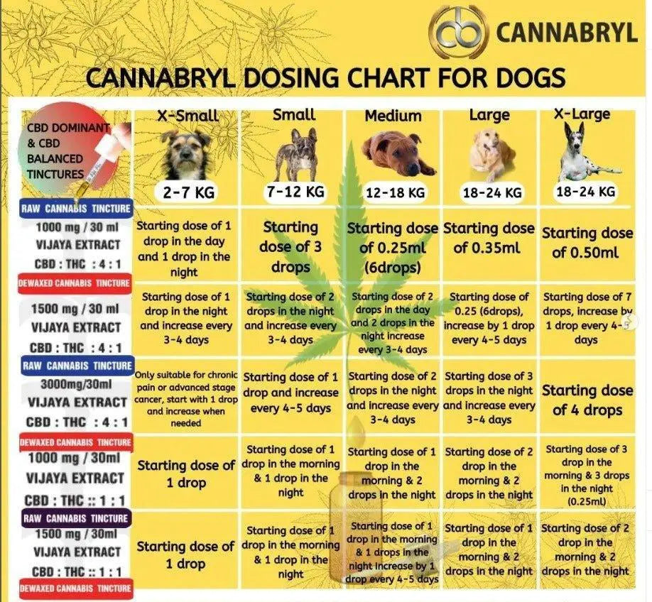 Cannabryl Full Spectrum Vijaya Extract For Dogs, 1500mg, CBD-THC Balanced, 30ml.