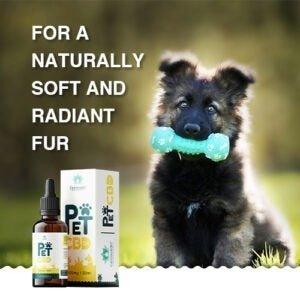 Cannavedic Pet CBD oil 1000mg 30mlPet MedicineCannavedic Pet CBD Oil | CBD Oil For Dogs and Cats | CBD Store India