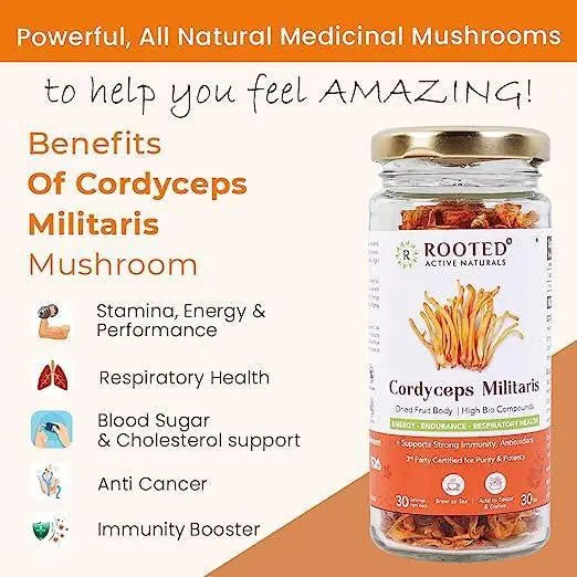 Rooted Actives Cordyceps (Dry Body) | Energy, Stamina, Supports Testosterone, Virility, Lung health | 25g, Organic.