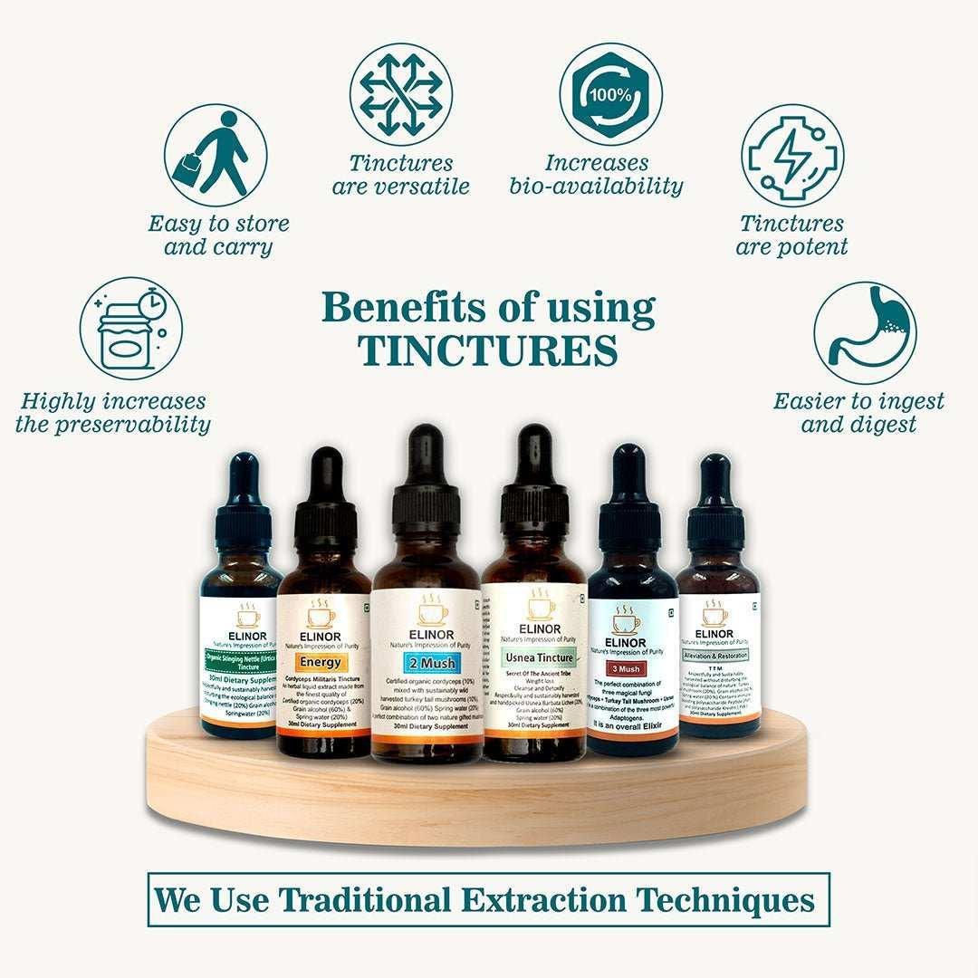 Elinor Organics Three Mushroom Tincture: Cordyceps, Turkey Tails & Usnea Tincture.