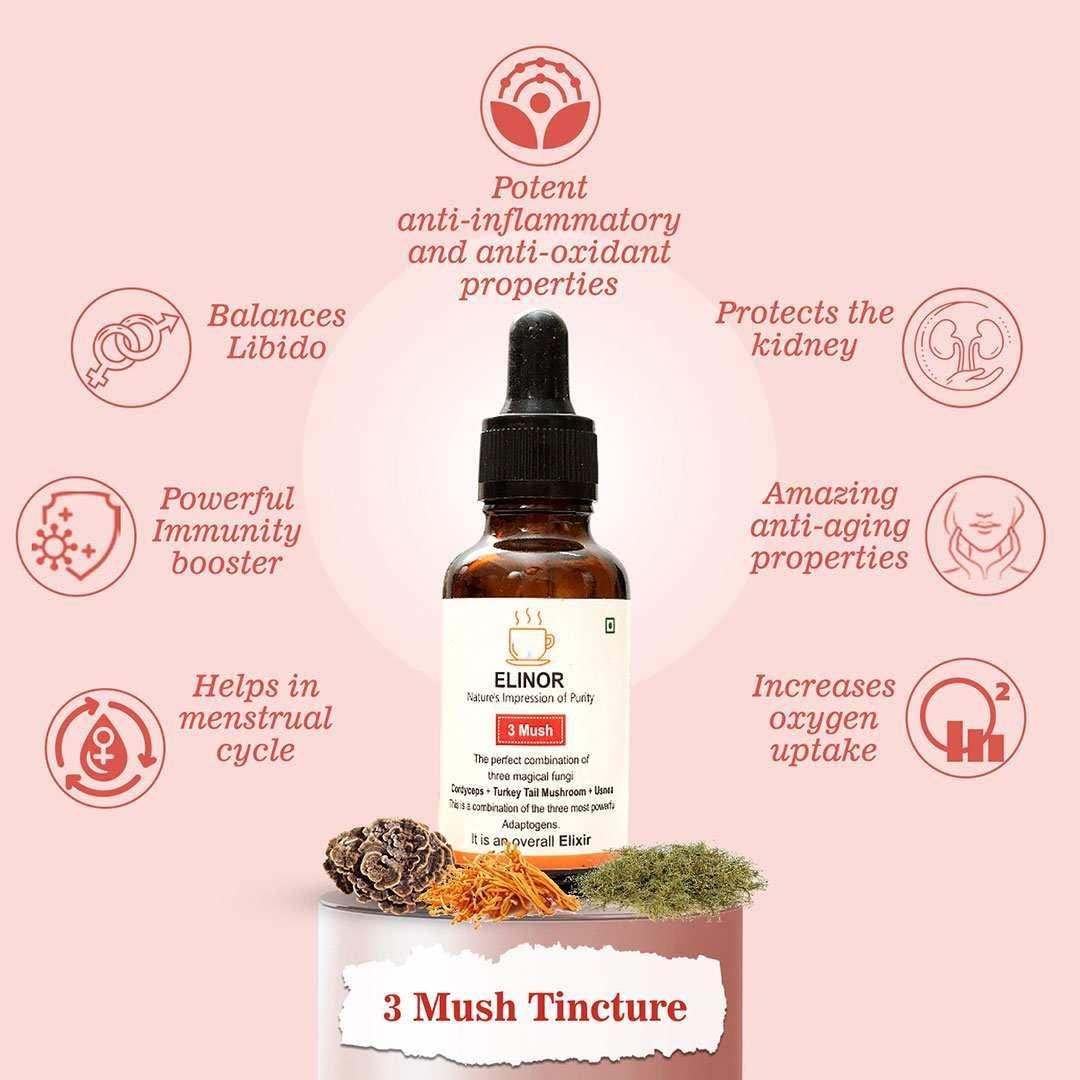 Elinor Organics Three Mushroom Tincture: Cordyceps, Turkey Tails & Usnea Tincture.