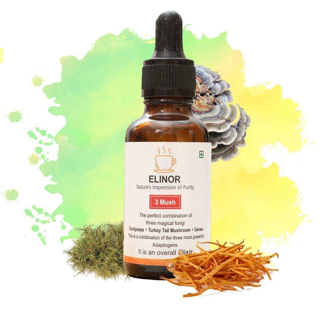 Elinor Organics Three Mushroom Tincture: Cordyceps, Turkey Tails & Usnea Tincture.