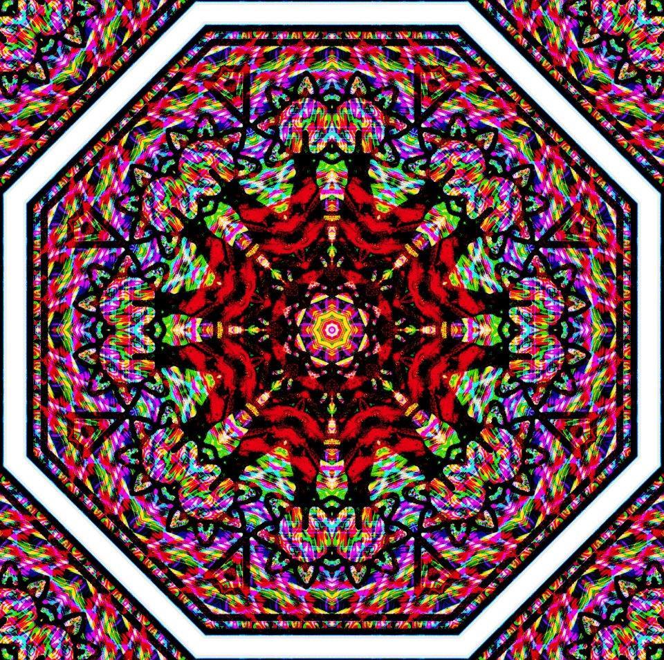 Aretha's Dream Women's Crop Top.