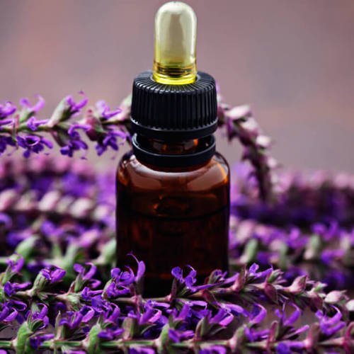 Blue Tree Aroma - Sage Essential Oil - CBD Store India