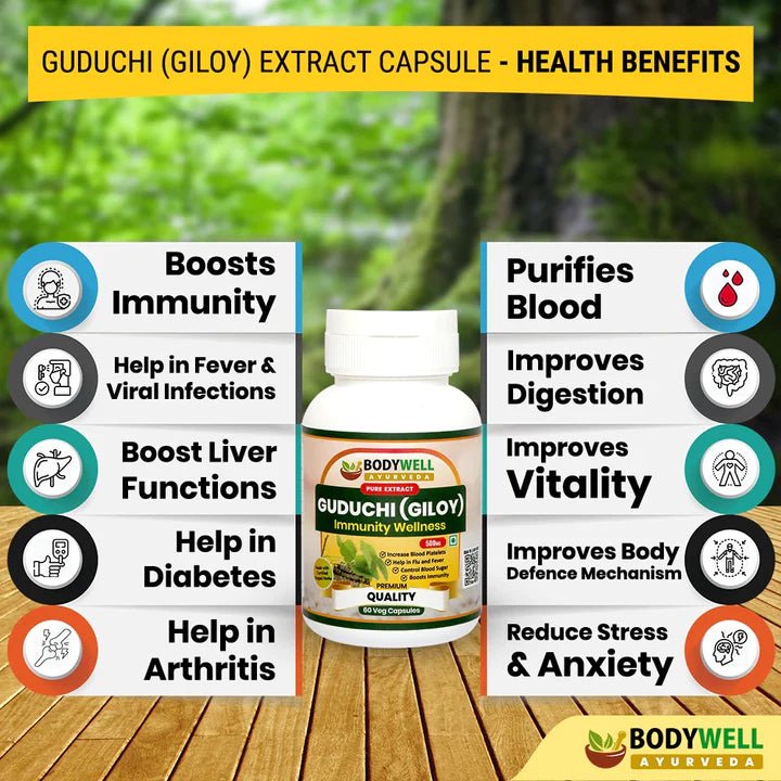 Bodywell Ayurveda - Giloy Pure Extract Capsule | Antioxidant Properties | Boosts Immunity | Improves Digestion | Good for Overall Health & Wellness | 500mg - CBD Store India