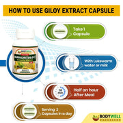 Bodywell Ayurveda - Giloy Pure Extract Capsule | Antioxidant Properties | Boosts Immunity | Improves Digestion | Good for Overall Health & Wellness | 500mg - CBD Store India