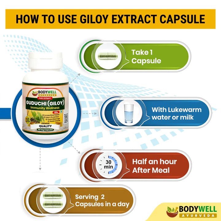 Bodywell Ayurveda - Giloy Pure Extract Capsule | Antioxidant Properties | Boosts Immunity | Improves Digestion | Good for Overall Health & Wellness | 500mg - CBD Store India