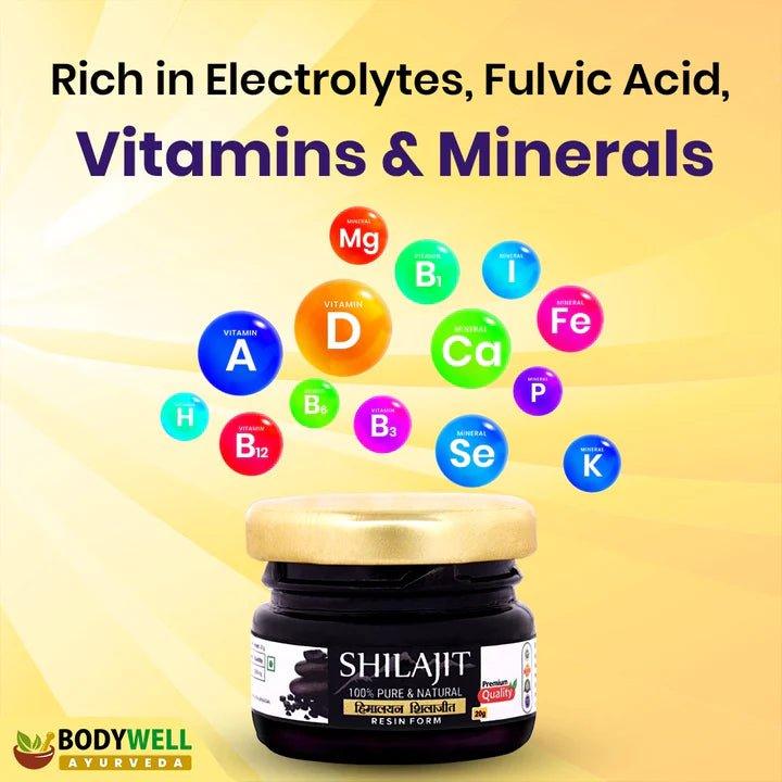 Bodywell Ayurveda - Pure Himalayan Shilajit Resin | Immunity, Strength, Stamina, Energy, Vitality |20g.