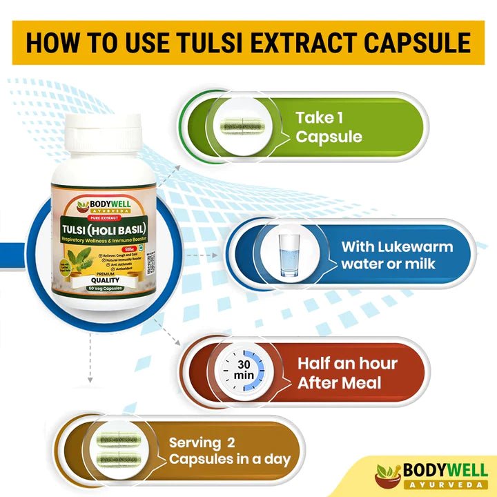 Bodywell Ayurveda - Tulsi Pure Extract Capsule | Anxiety & Stress Relief | Skin & Eye Wellness | Supports Kidney Health | Supports Heart Health | 500mg - CBD Store India