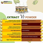 Bodywell Ayurveda - Turmeric Pure Extract Capsule | Anti-Inflammatory & Anti-Oxidant | Boosts Immunity | Good for Skin, Bone & Joint Health | 300mg - CBD Store India