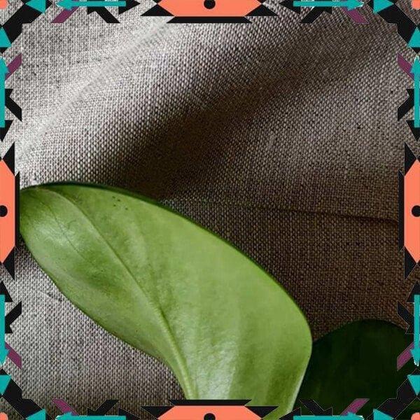 Cairo Natural Hemp Fabric by Hemp Fabric Lab.