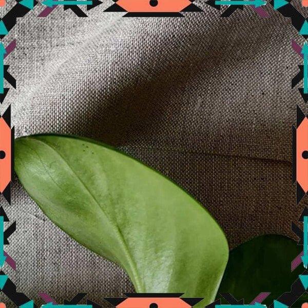 Cairo Natural Hemp Fabric by Hemp Fabric LabCairo Natural Hemp Fabric by Hemp Fabric Lab