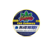 Canna Gummies – CBD Gummies 1:0 - BlueBerry - CBD Store India
