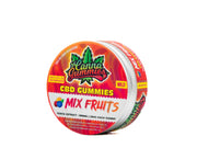 Canna Gummies – CBD Gummies 1:0 - Mix Fruits - CBD Store India