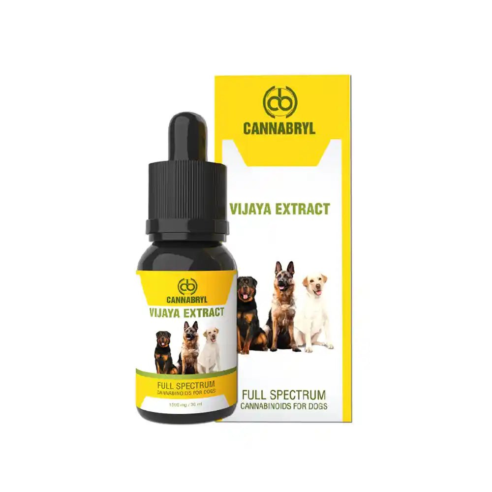 Cannabryl Full Spectrum Vijaya Extract For Dogs, 1500mg, CBD-THC Balanced, 30ml - CBD Store India