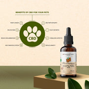 CBD Extract Pet Oil - CBD Store India