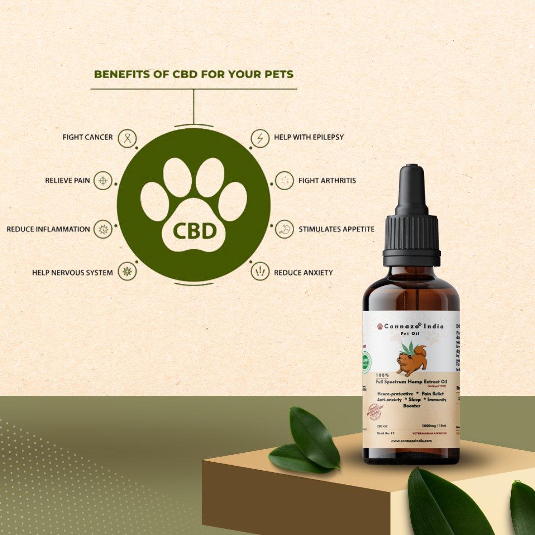 Cannazo - Pure CBD Oil for All types of pets | 1000mg / 10mlPet CBD oilPure CBD Oil for All Pets - 1000mg | Cannazo Benefits