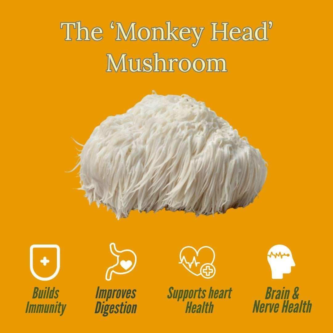 CBD, Hemp & Fungi Bundle.