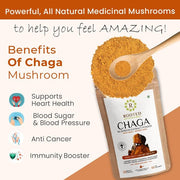 Chaga Mushroom Extract Powder | Blood Sugar, Heart & Immunity - CBD Store India