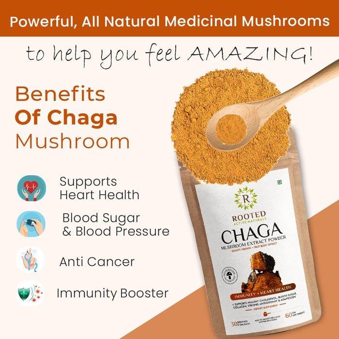 Rooted Actives Siberian Chaga mushroom Extract | Blood Sugar, Heart & Immunity.Mushroom Extract PowderChaga Mushroom Extract Powder | For Blood Sugar, Heart & Immunity