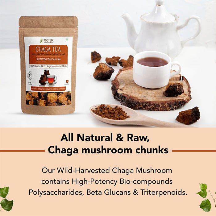 Chaga Mushroom Tea (Wild Harvested Chunks) | 100g - CBD Store India