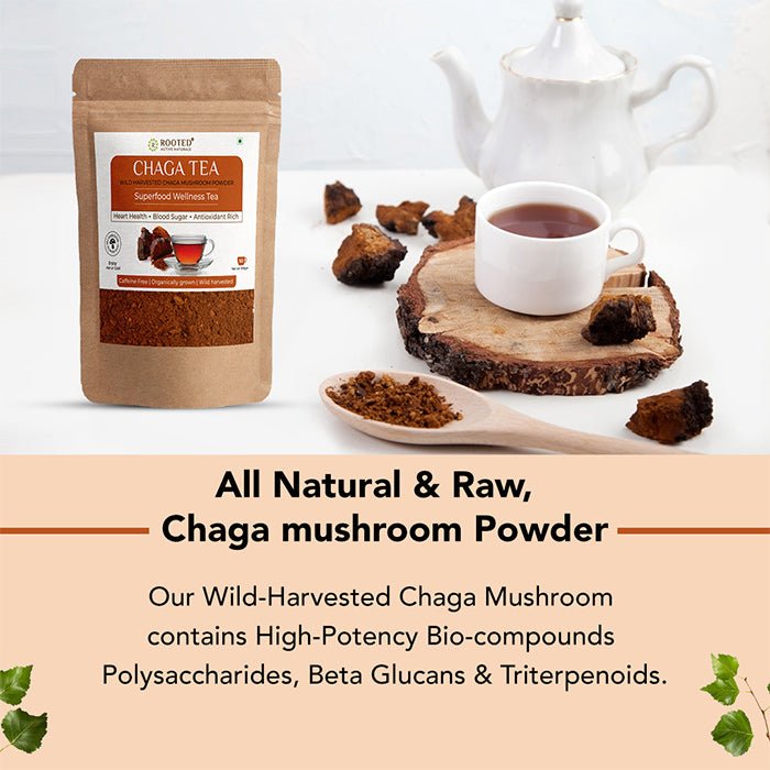 Chaga Mushroom Tea (Wild Harvested, Powdered) | 100g - CBD Store India