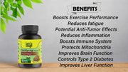 Cure By Design - Superrsupps Cordyceps Capsules - CBD Store India