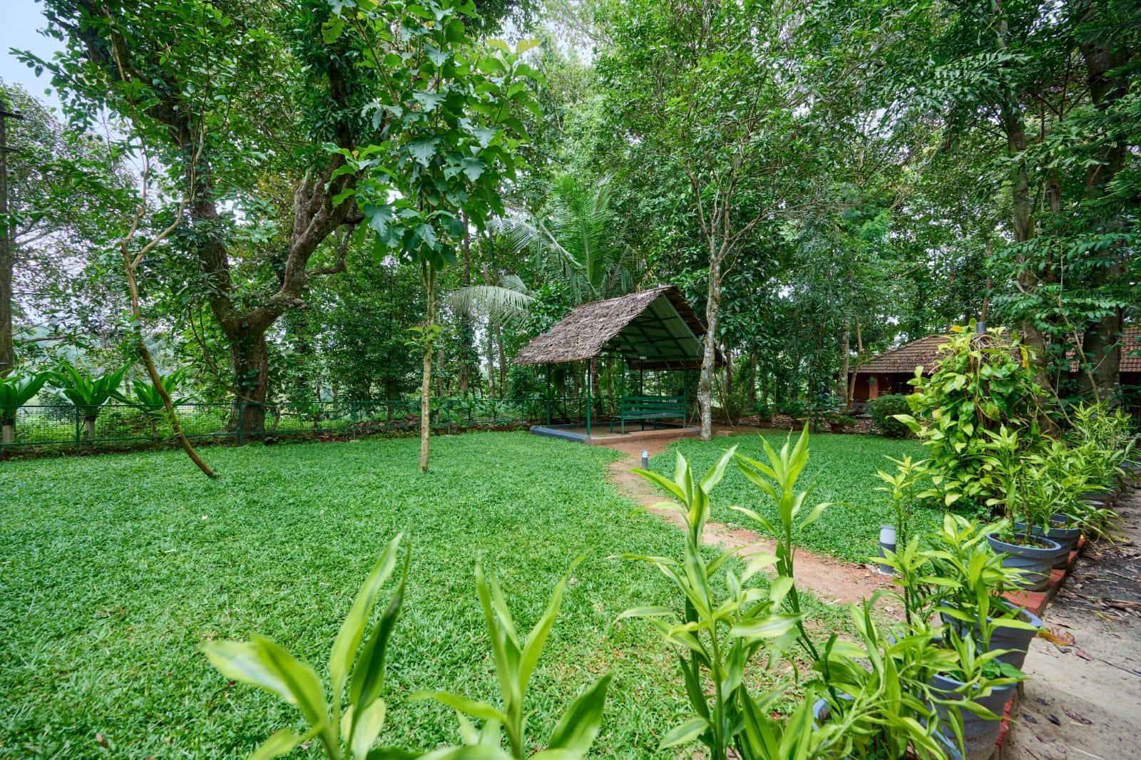 Daksha Ayuretreat - Treatment and Wellness Packages.