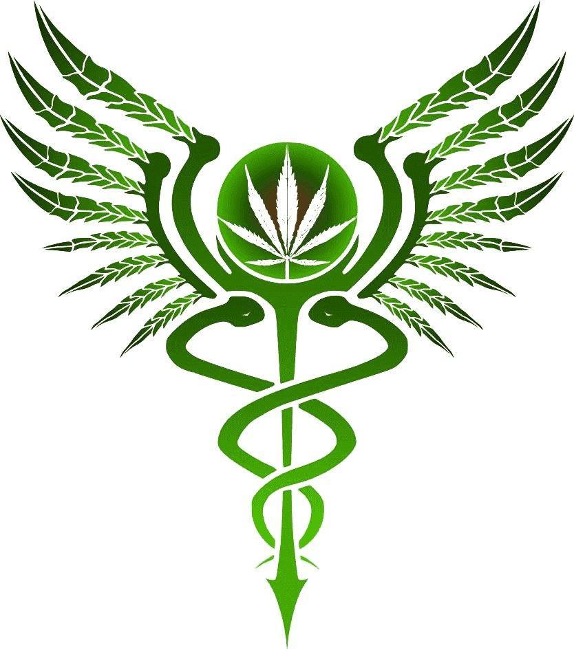 Doctor Consultation Follow-Up.