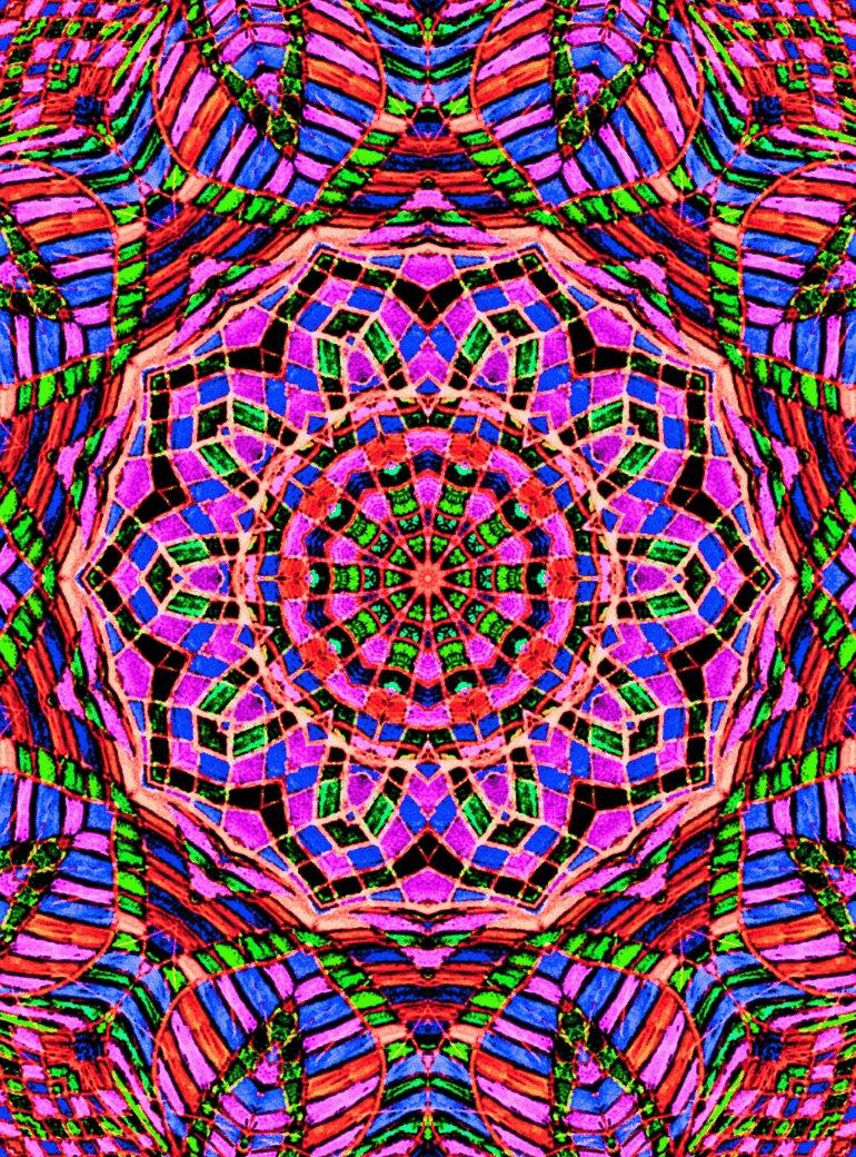 Ecstatic Hurricane Women's Crop TopCrop TopHurricane Women's Crop Top - Cotton Graphic | Casual Wear