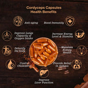 Elinor Organics - Endurance (Cordyceps Capsules 500 mg) - CBD Store India