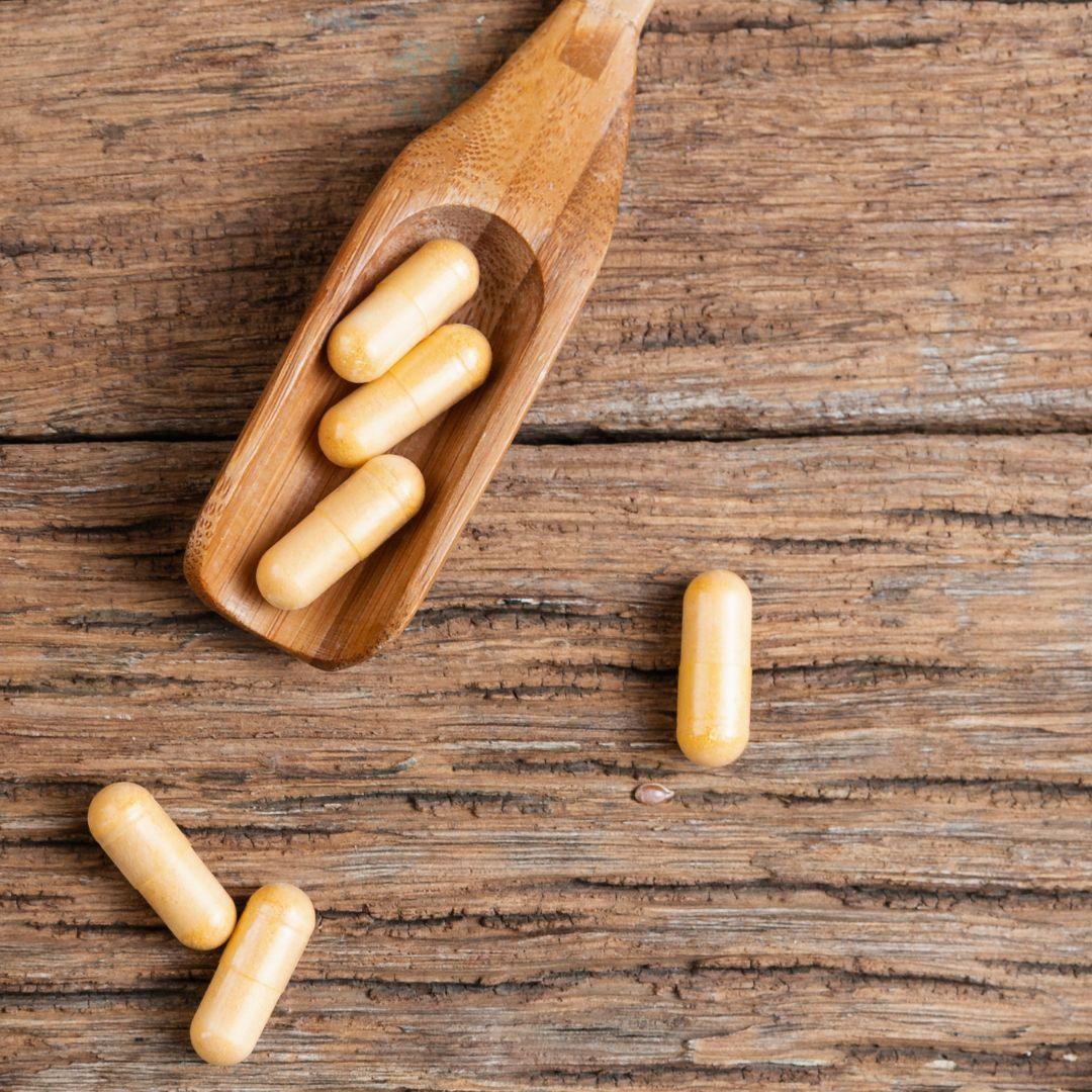 Elinor Organics | Lion's Mane CapsulesFungi CapsuleElinor Organics | Lion's Mane Capsules | CBD Store India