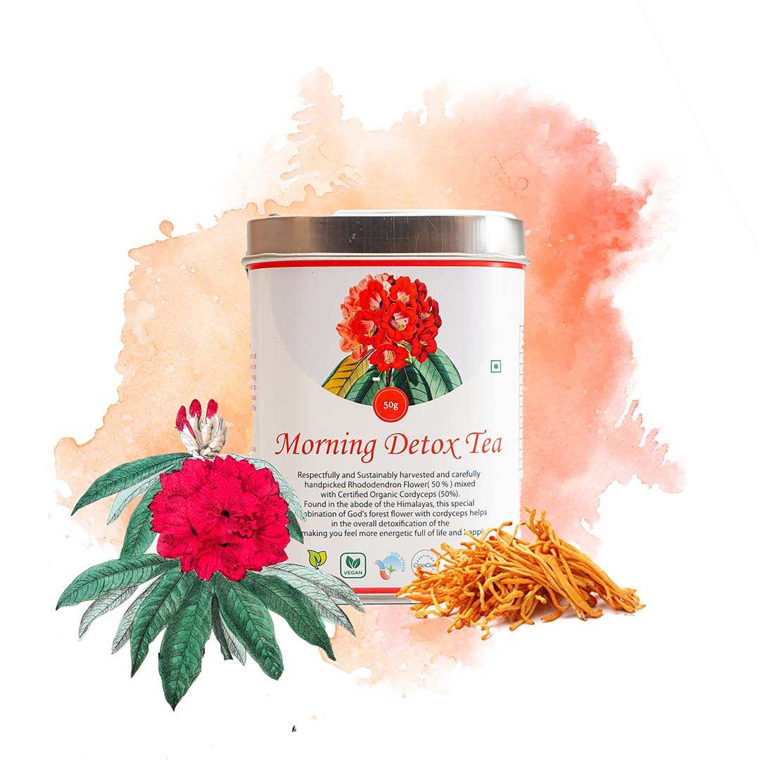 Elinor Organics | Morning Detox Fungi Tea - CBD Store India