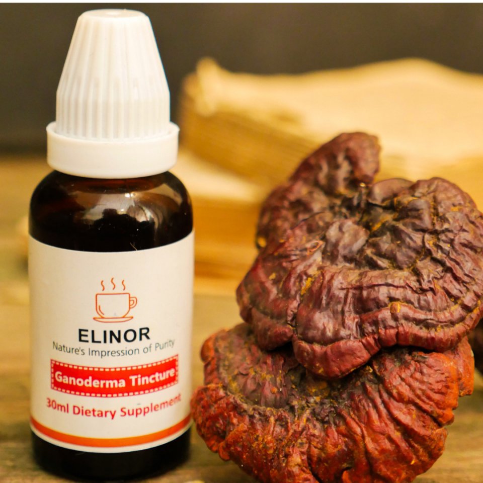 Elinor Organics | Reishi Tincture (30 ml) - CBD Store India