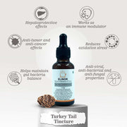 Elinor Organics | Turkey Tail Fungi Tincture (30 ml) - CBD Store India