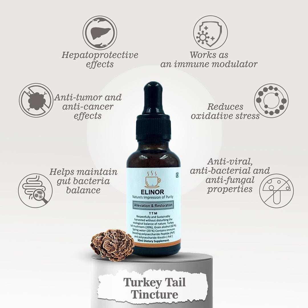 Elinor Organics | Turkey Tail Fungi Tincture (30 ml)