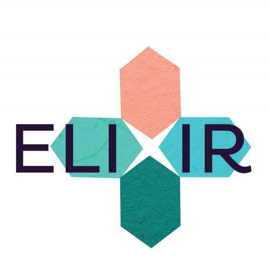 Elixir Peppermint Nano CBD Oil 1000mg.