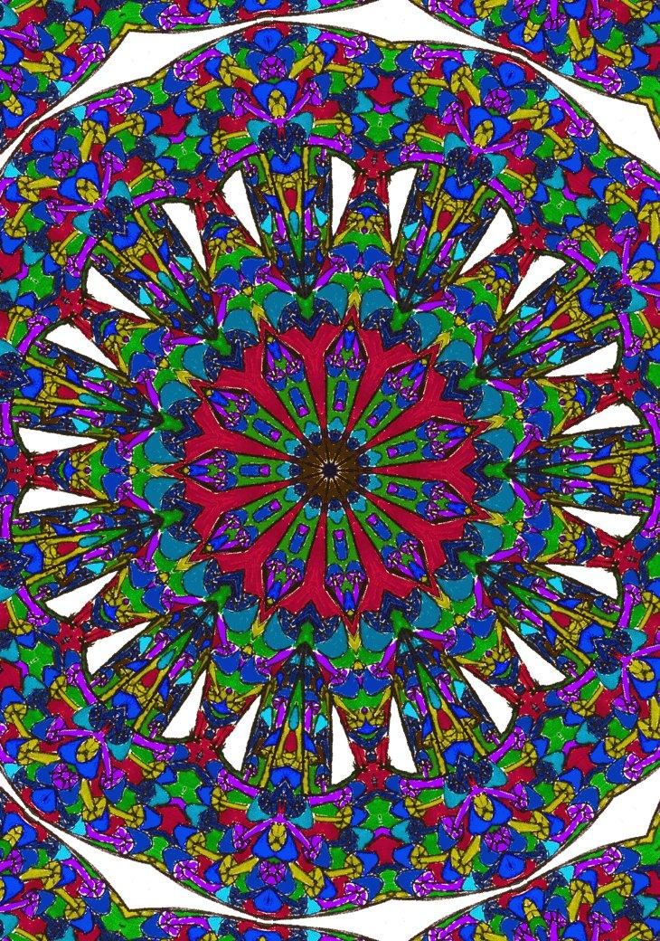 Fire of Love Women's Crop TopCrop TopFire of Love Women's Crop Top - Cotton | Soma Flora Designs